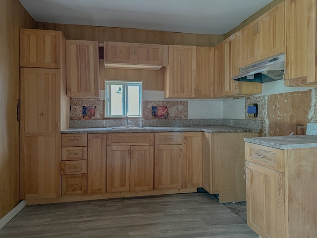 kitchen with sink, light brown cabinets, tasteful backsplash, and light hardwood / wood-style floors