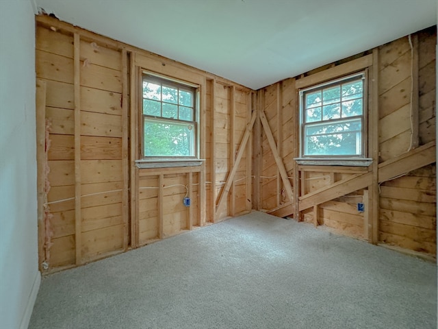 empty room featuring wooden walls and carpet floors