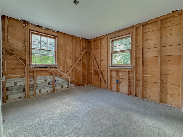 unfurnished room featuring plenty of natural light, carpet flooring, and wood walls