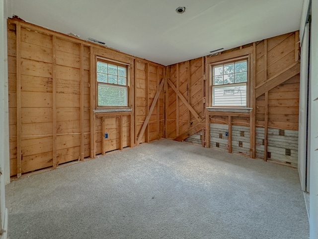 unfurnished room with wood walls and carpet floors