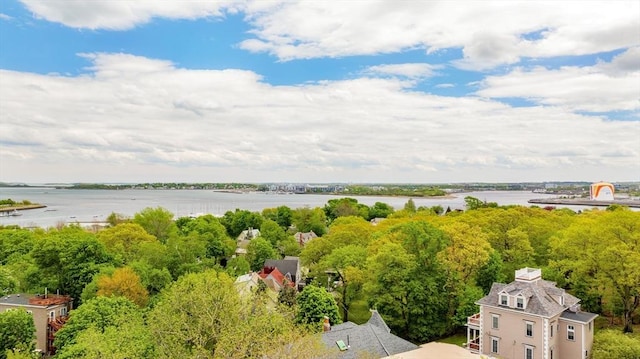 bird's eye view of a large body of water