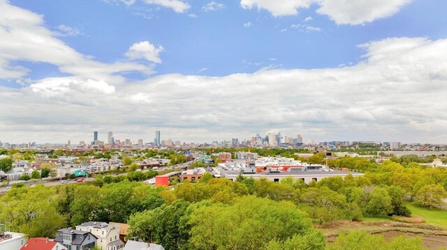 bird's eye view of a view of skyline