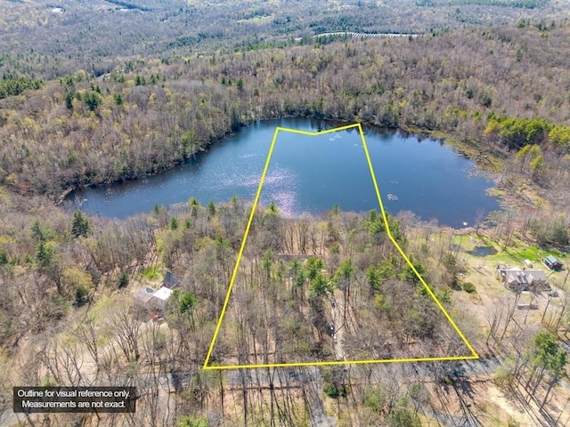 birds eye view of property with a water view and a forest view