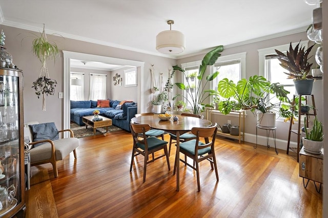 17 Eliot St Unit 17, Medford, MA 02155 - dining room featuring light wood finished floors and ornamental molding