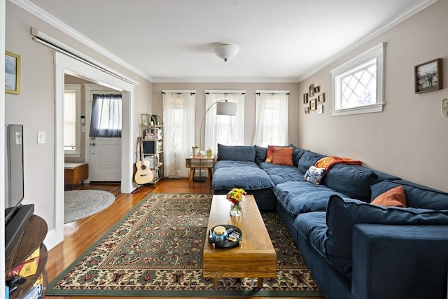17 Eliot St Unit 17, Medford, MA 02155 - living room with ornamental molding and wood finished floors