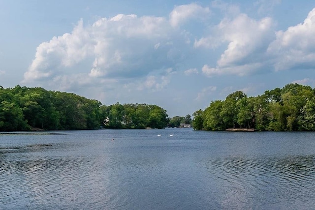 57 Rudon Dr, North Attleboro, MA 02760 - water view with a forest