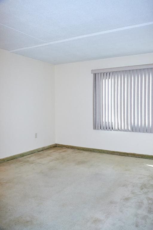 unfurnished room featuring carpet