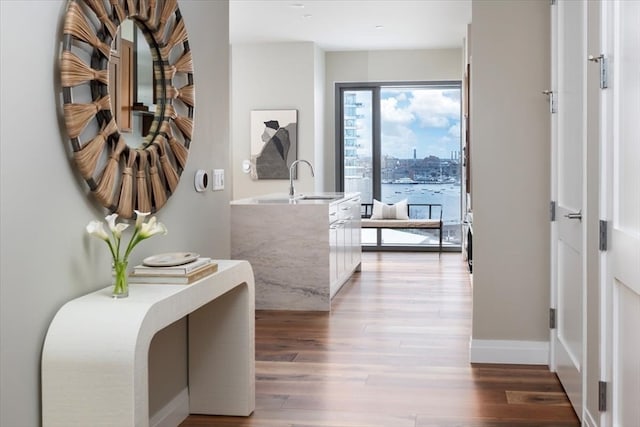 hallway featuring wood-type flooring and sink