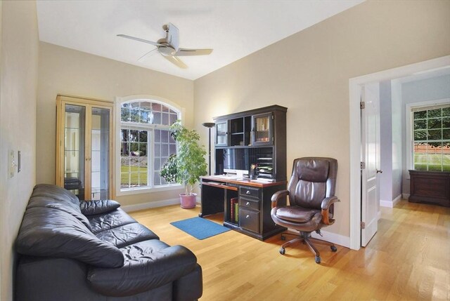 office area featuring ceiling fan and light wood-type flooring