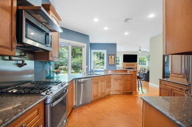 kitchen with ceiling fan, appliances with stainless steel finishes, dark stone countertops, light hardwood / wood-style floors, and sink