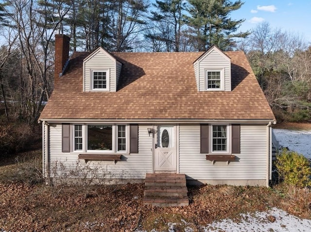 view of cape cod house