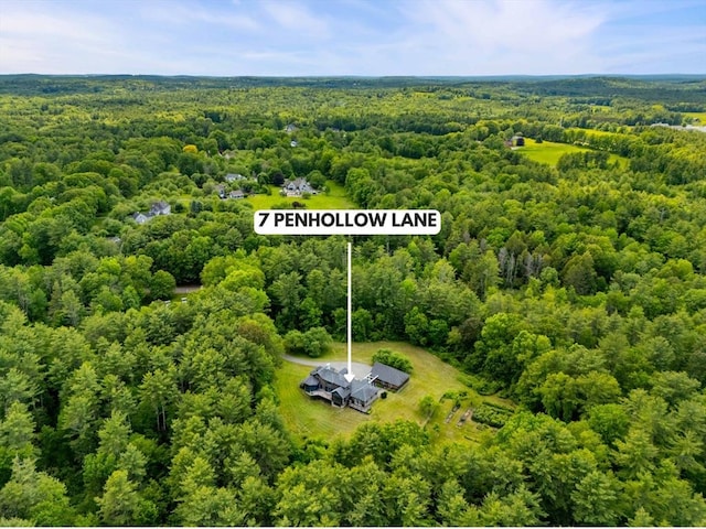 7 Penhollow Ln, Hampton Falls, NH 03844 - aerial view of a forest