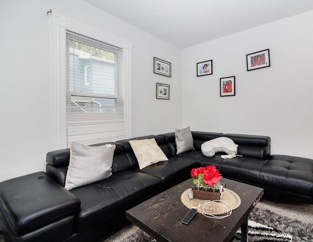 134 Brown St, Waltham, MA 02453 - view of carpeted living area