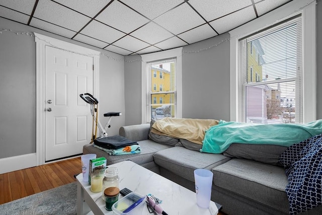 living room featuring a healthy amount of sunlight, a drop ceiling, and wood-type flooring