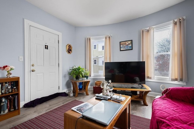 living room with wood-type flooring