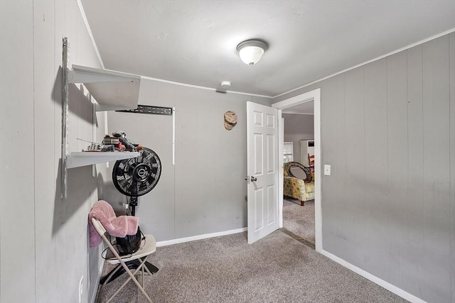 205-207 High St, Fitchburg, MA 01420 - miscellaneous room with carpet floors and ornamental molding