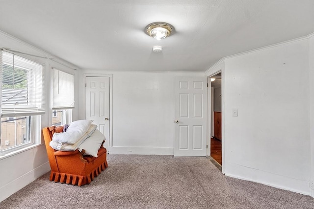 205-207 High St, Fitchburg, MA 01420 - living area featuring carpet flooring and baseboards