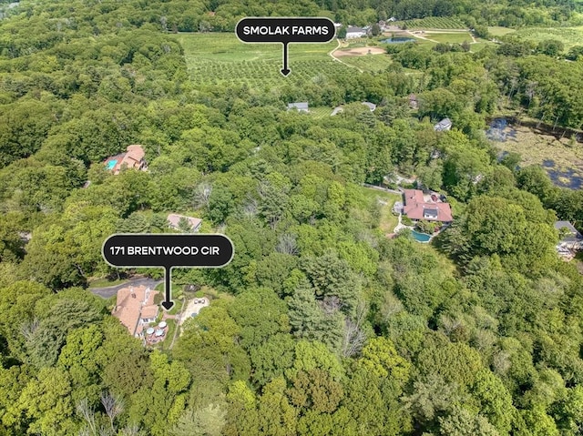171 Brentwood Cir, North Andover, MA 01845 - aerial view of property's location featuring a heavily wooded area