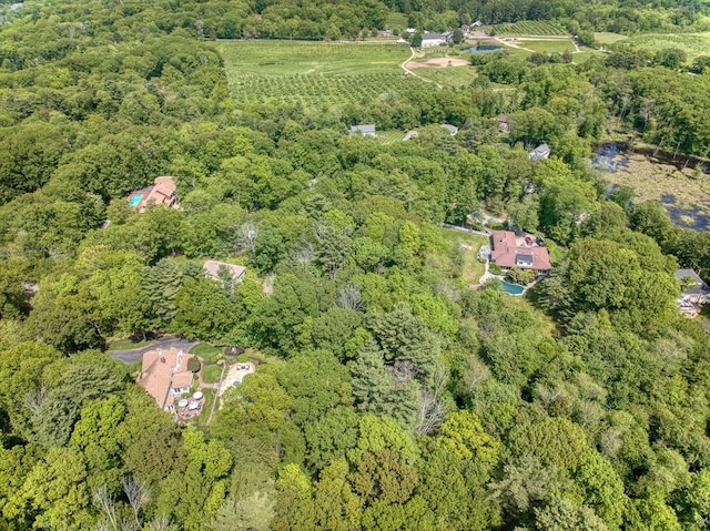 171 Brentwood Cir, North Andover, MA 01845 - aerial view of property and surrounding area featuring a forest