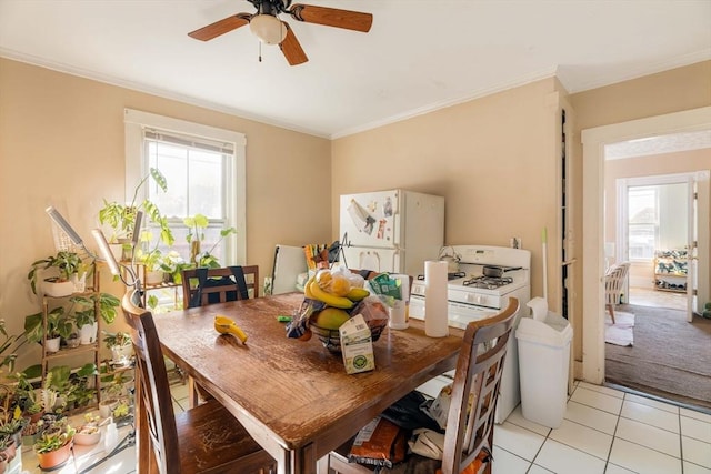 dining space with crown molding, ceiling fan, light tile patterned floors, and a wealth of natural light