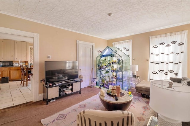 carpeted living room with ornamental molding