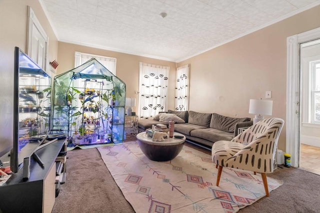 carpeted living room with crown molding