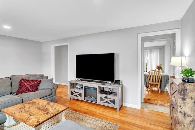 living room with wood-type flooring