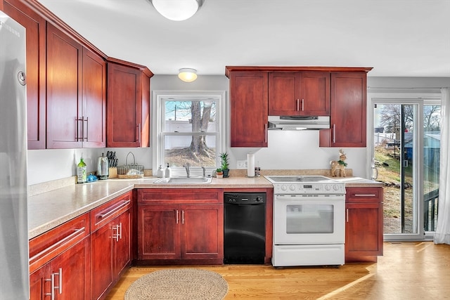 kitchen with sink, light hardwood / wood-style floors, a healthy amount of sunlight, and electric stove