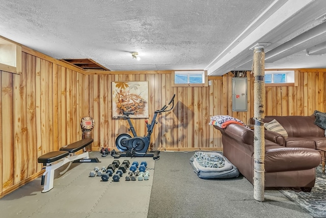 exercise area featuring wooden walls, plenty of natural light, and electric panel