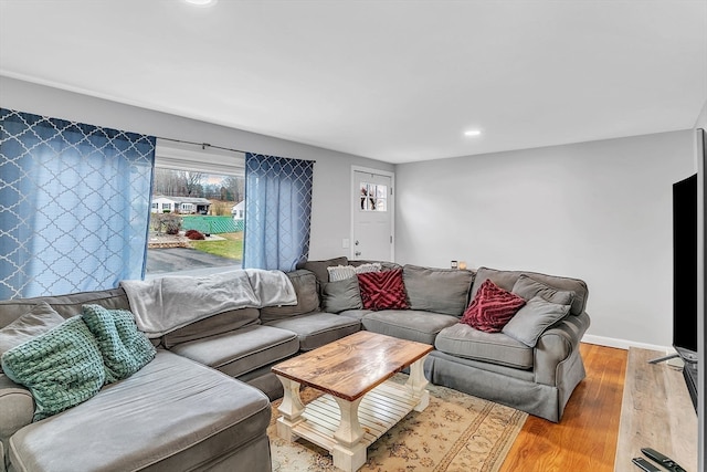 living room featuring light hardwood / wood-style flooring