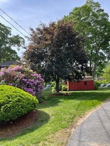 50 Wilson Dr Unit 50, Framingham, MA 01702 - view of green lawn