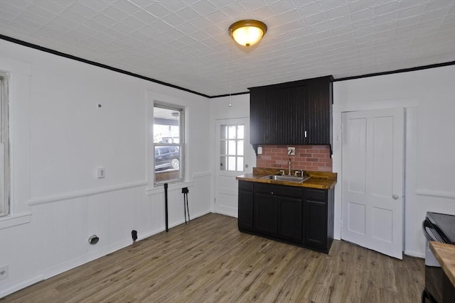 kitchen featuring light wood-style flooring, ornamental molding, a sink, dark cabinetry, and wainscoting