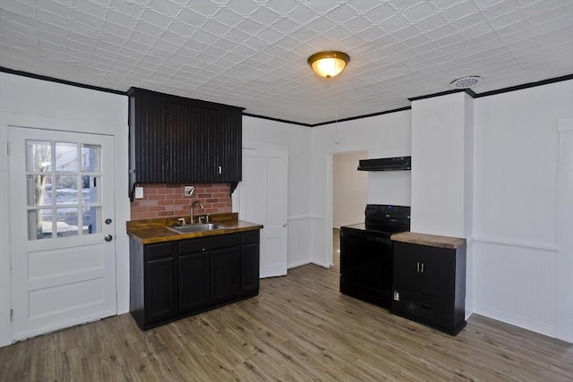 kitchen featuring a sink, black range with electric cooktop, ventilation hood, light wood-style floors, and crown molding