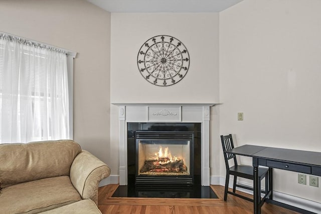 room details with wood finished floors, a glass covered fireplace, and baseboards