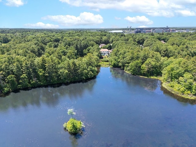 1 Munroe St, Foxboro, MA 02035 - aerial view of a heavily wooded area and a nearby body of water