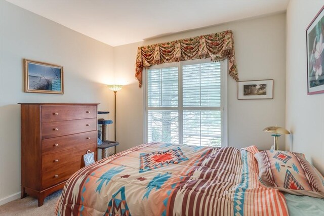 28 Picket Fence, Plymouth, MA 02360 - bedroom featuring multiple windows, light carpet, and baseboards