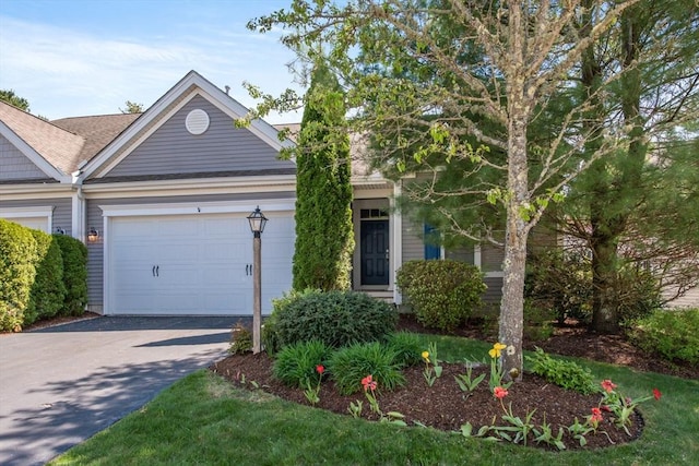 28 Picket Fence, Plymouth, MA 02360 - view of front of house with driveway, an attached garage, and a shingled roof