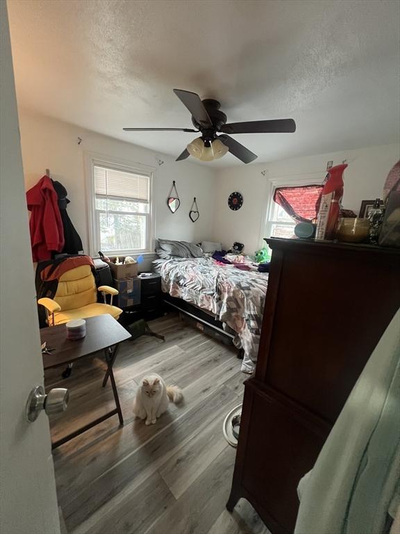 bedroom with wood finished floors, multiple windows, and a textured ceiling