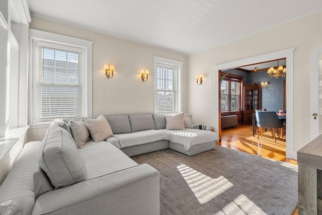 living room featuring wood-type flooring, a wealth of natural light, crown molding, and a chandelier