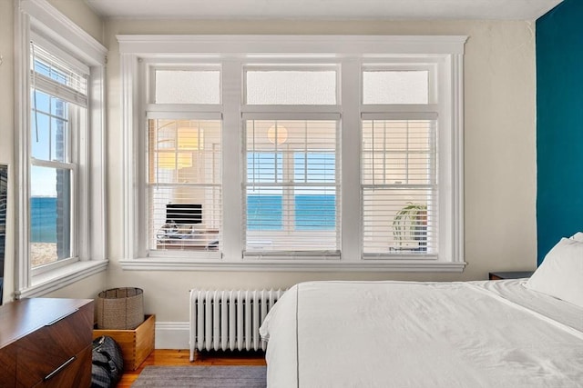 bedroom with radiator, multiple windows, and hardwood / wood-style flooring