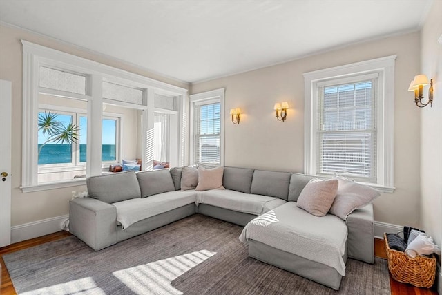 living room featuring plenty of natural light and light hardwood / wood-style floors