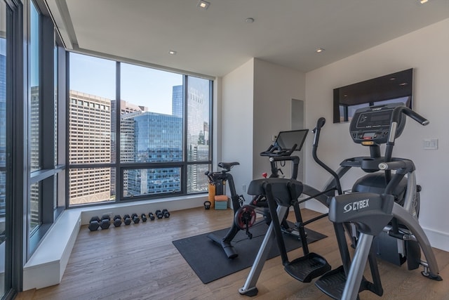 workout area with hardwood / wood-style floors and a healthy amount of sunlight