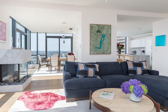 living room with floor to ceiling windows, light hardwood / wood-style flooring, and a premium fireplace