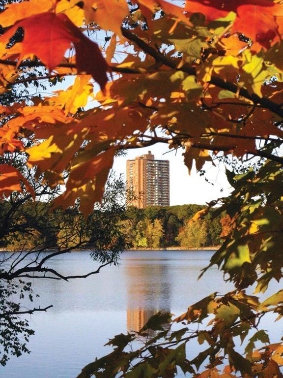 111 Perkins St Unit 42, Boston, MA 02130 - water view