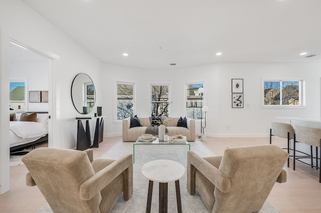 living room featuring light wood-type flooring