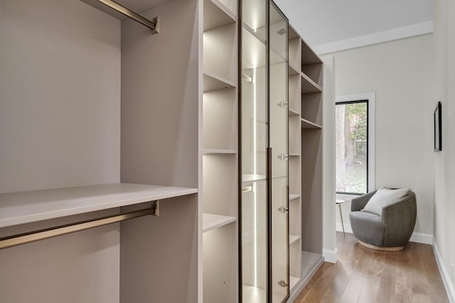 walk in closet with light wood finished floors