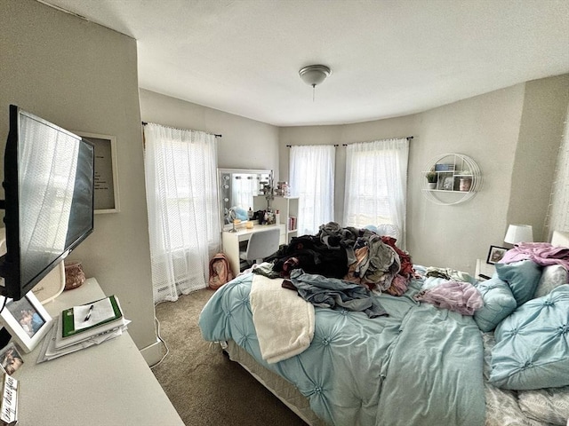 403 Orange St, Springfield, MA 01108 - bedroom with carpet floors