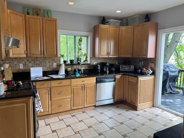 kitchen with a sink, a healthy amount of sunlight, stainless steel dishwasher, exhaust hood, and range with gas stovetop
