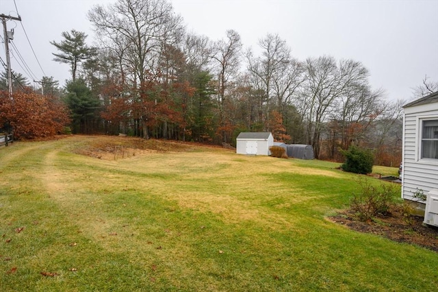 view of yard with a storage shed