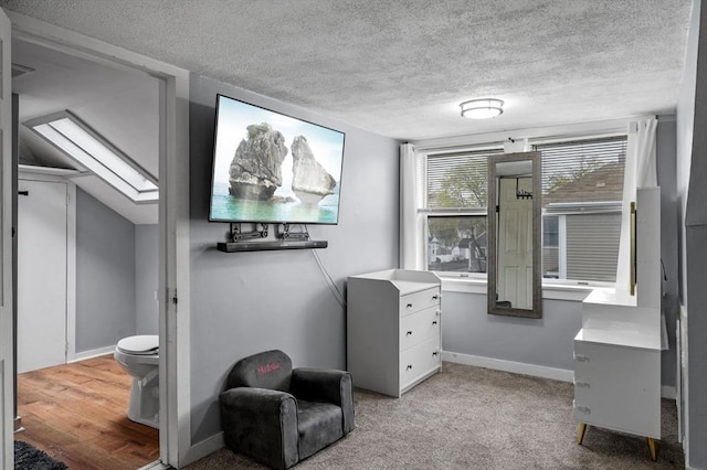 sitting room featuring a textured ceiling, baseboards, and a skylight
